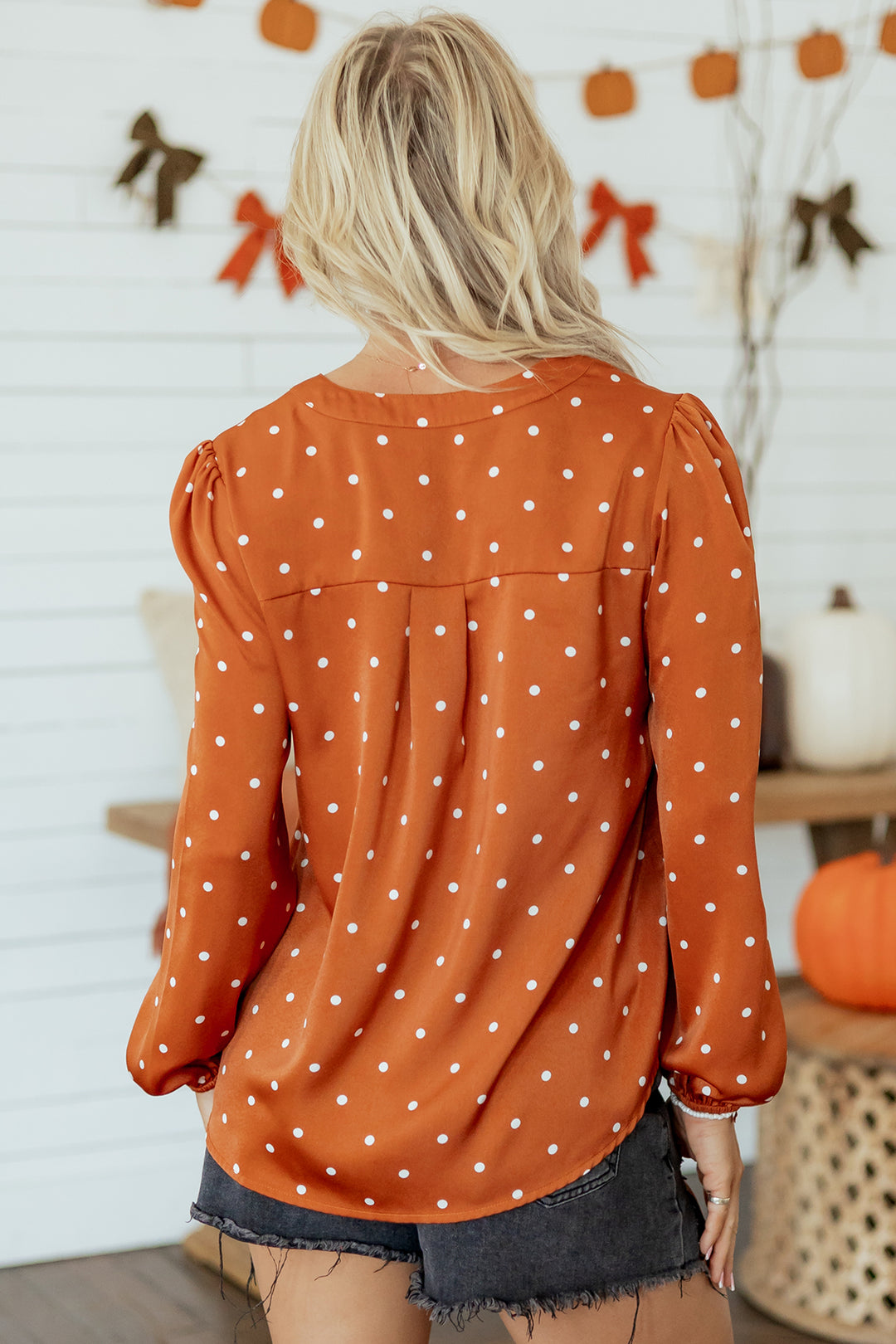Brown Polka Dot V Neck Long Sleeve Blouse