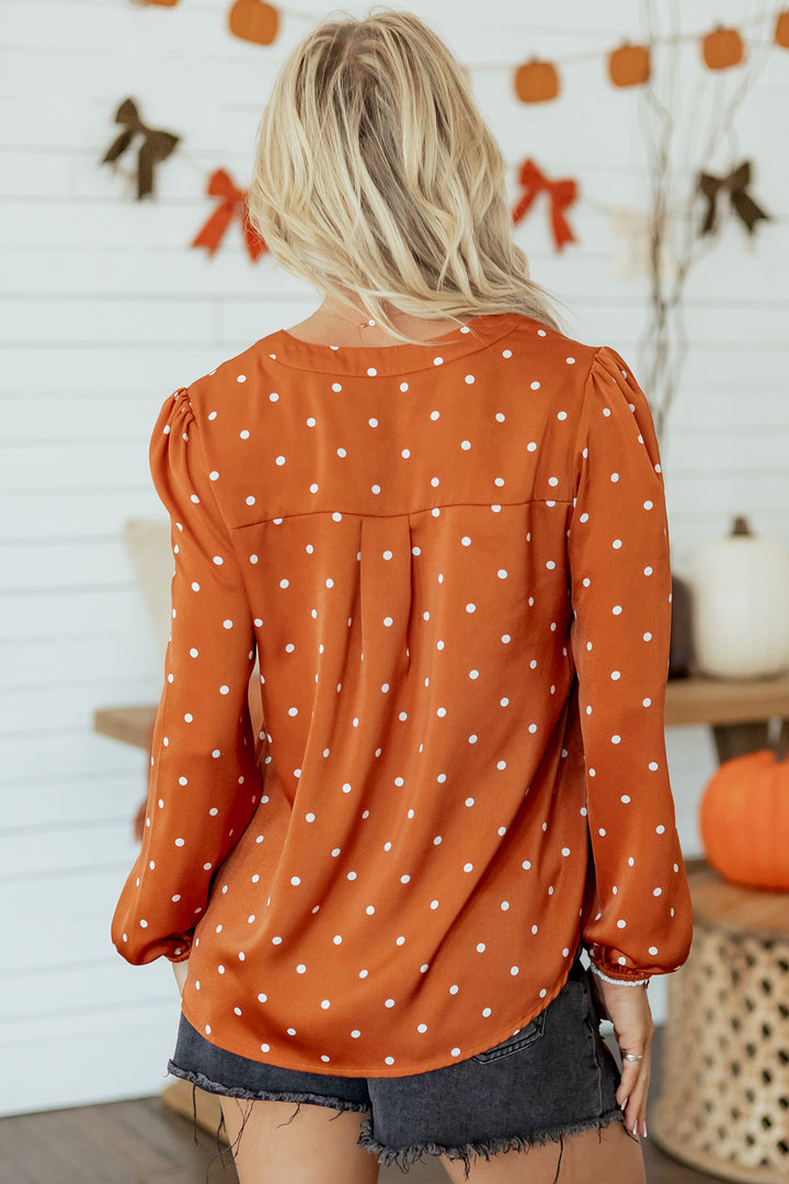 Brown Polka Dot V Neck Long Sleeve Blouse