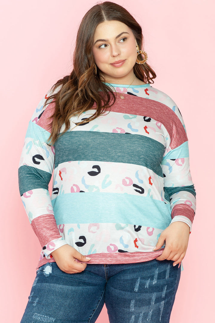 Plus Size Colorblock Pullover Top