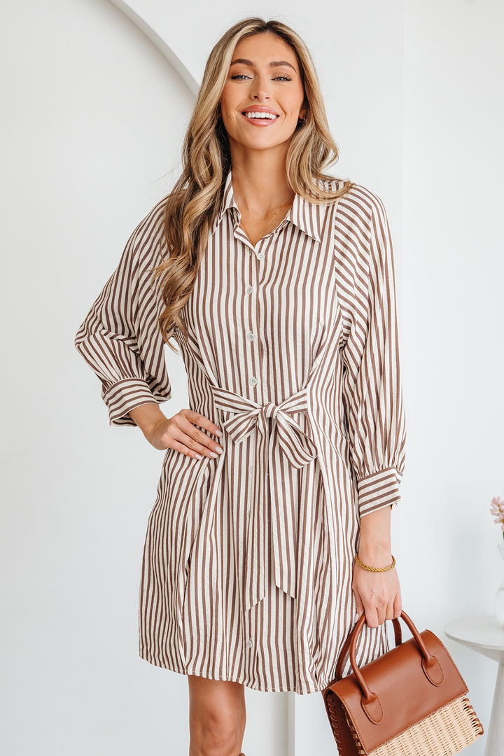 Knot Waist Puff Sleeve Button Down Mini Shirt Dress