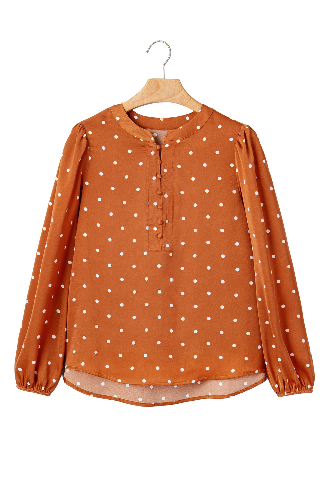Brown Polka Dot V Neck Long Sleeve Blouse