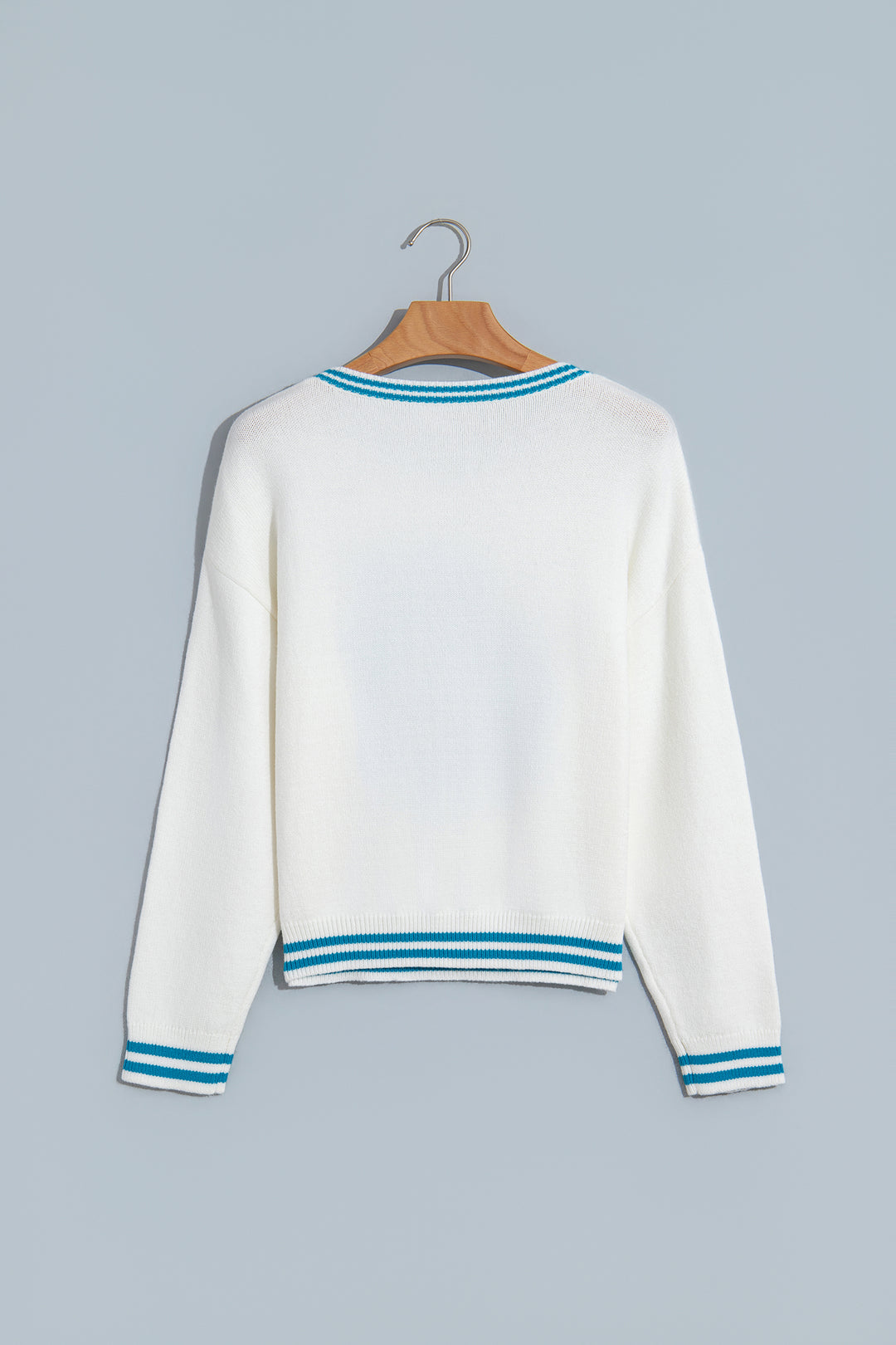 Light Blue Bulldog Contrast Trim Round Neck Casual Sweater