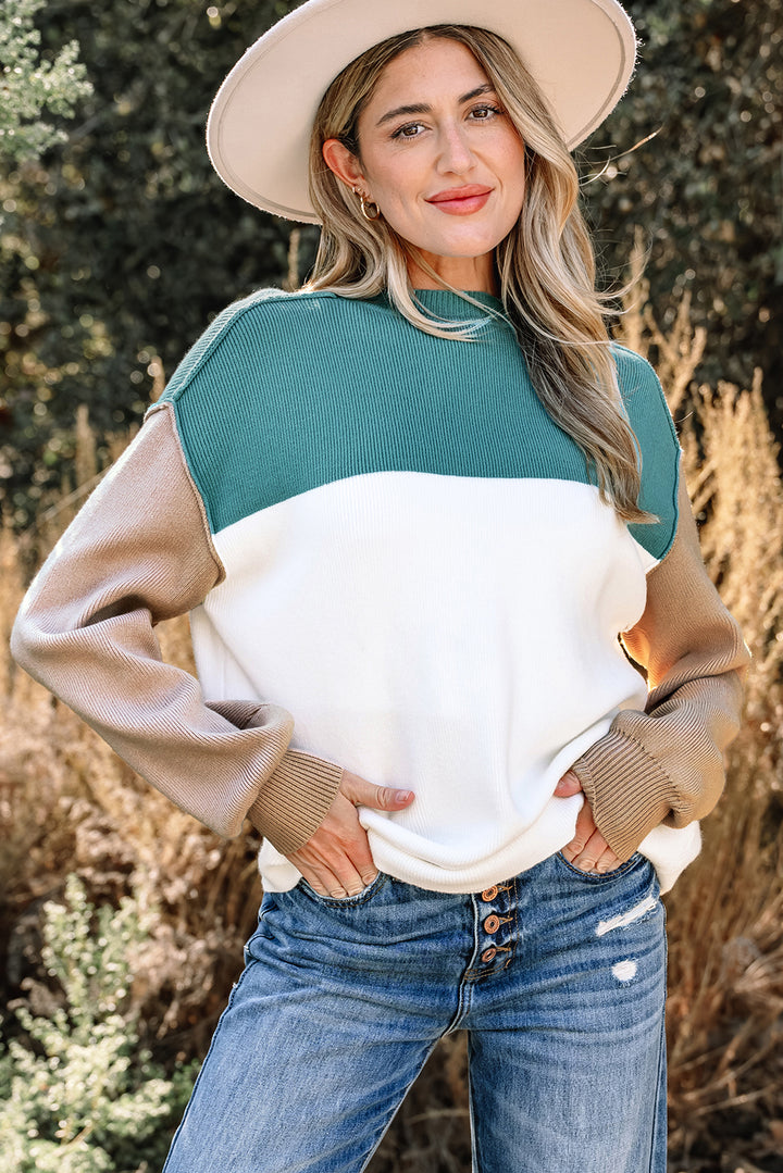 Color Block Plain Ribbed Knit Baggy Sweater