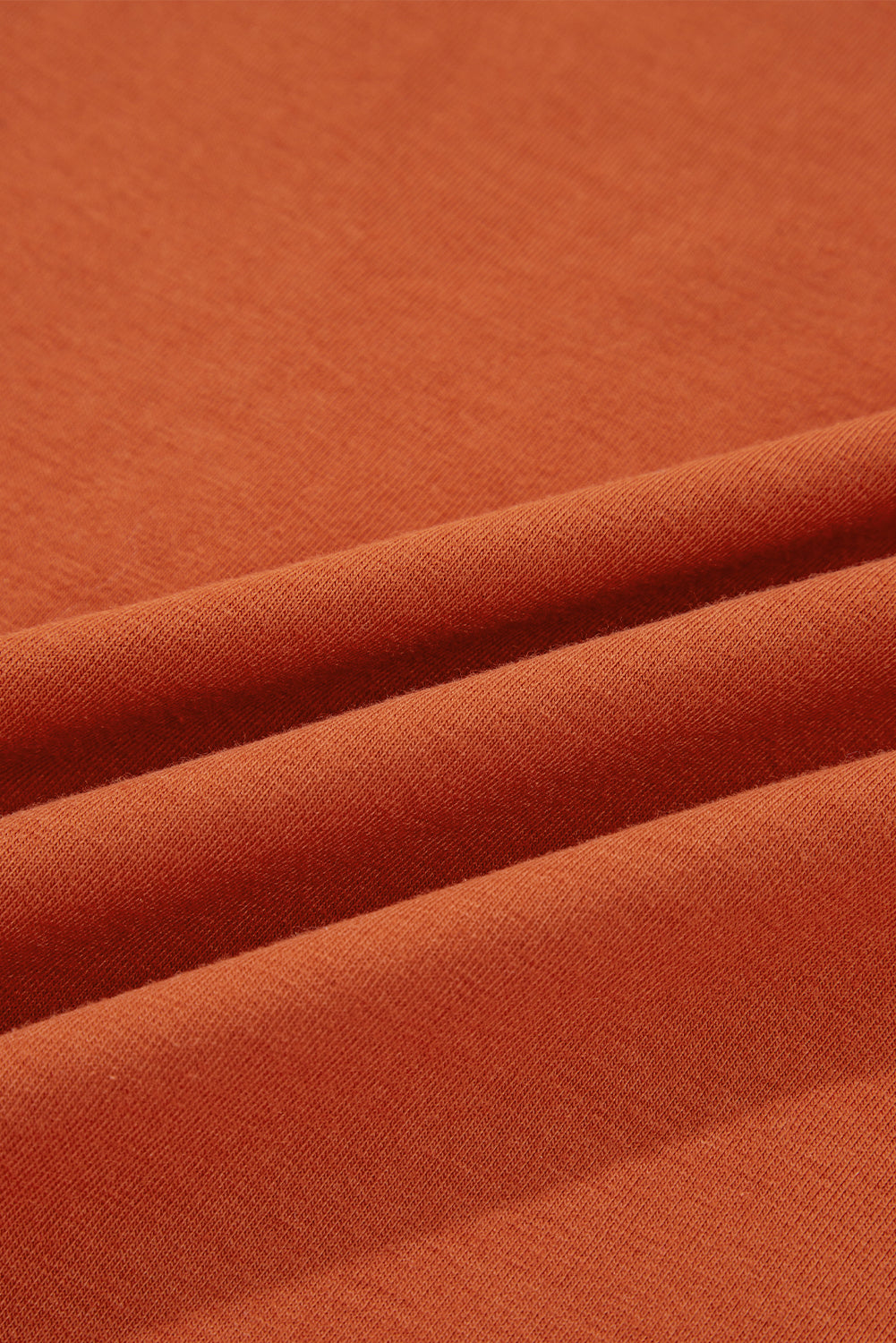 Red Clay  Asymmetric Seam Detail Solid Color Long Sleeve Top