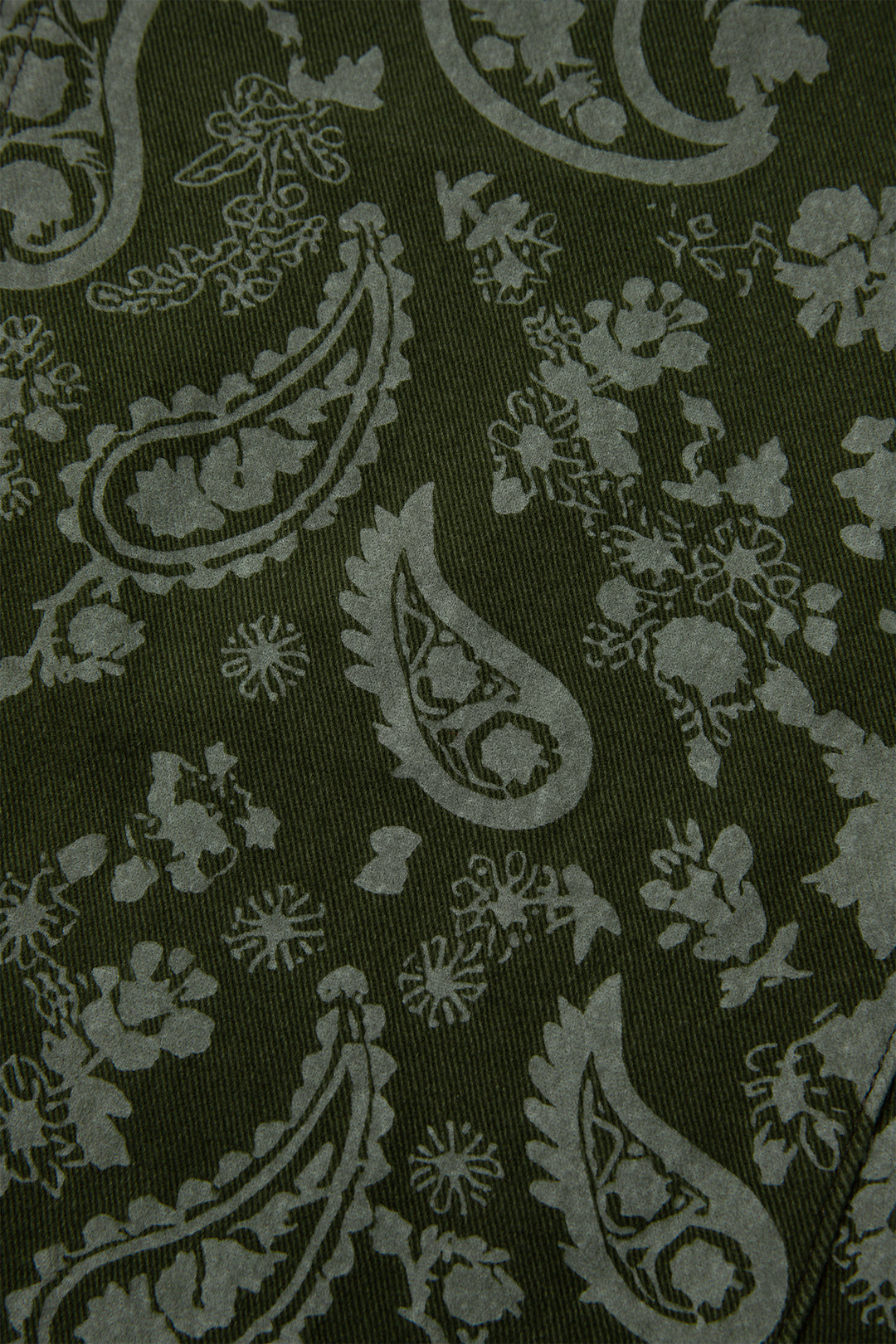 Green Paisley Print Harem Denim Pants