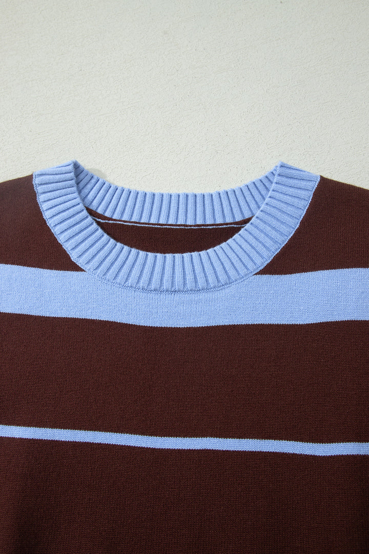 Sky Blue Stripe Striped Short Sleeve Round Neck Casual Knit Top