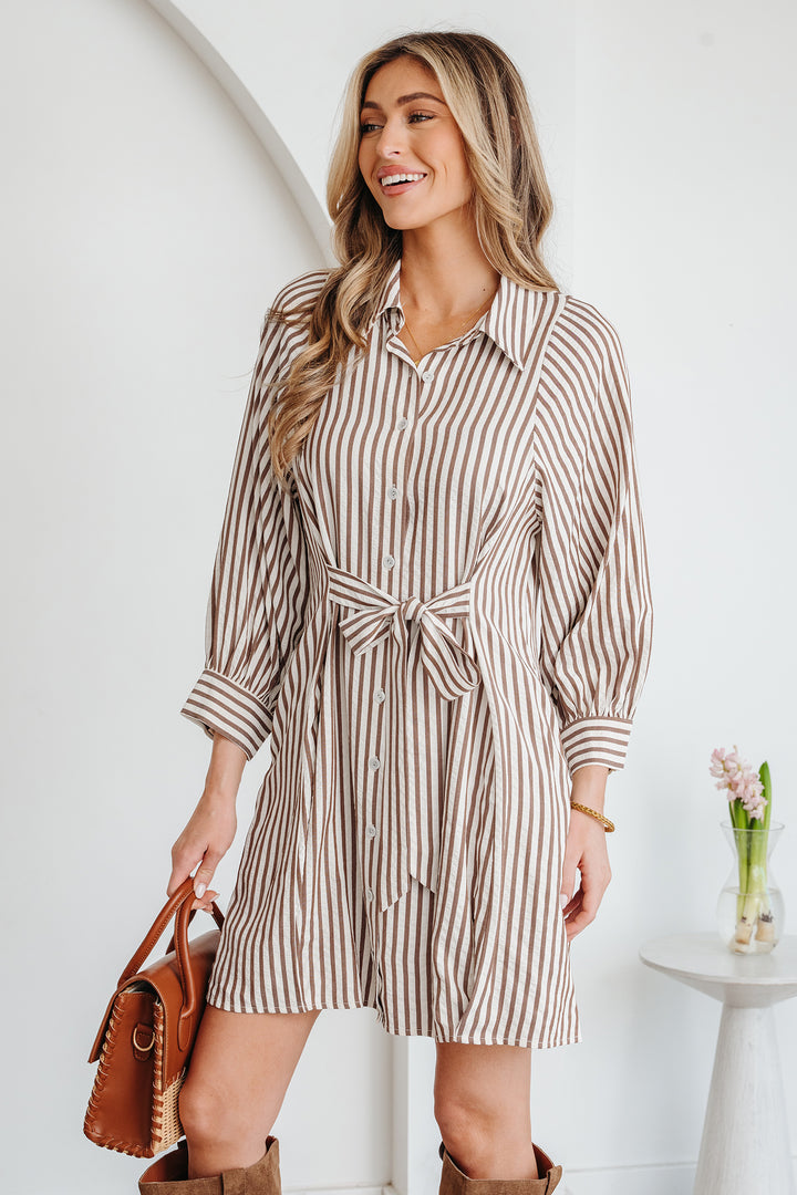 Knot Waist Puff Sleeve Button Down Mini Shirt Dress