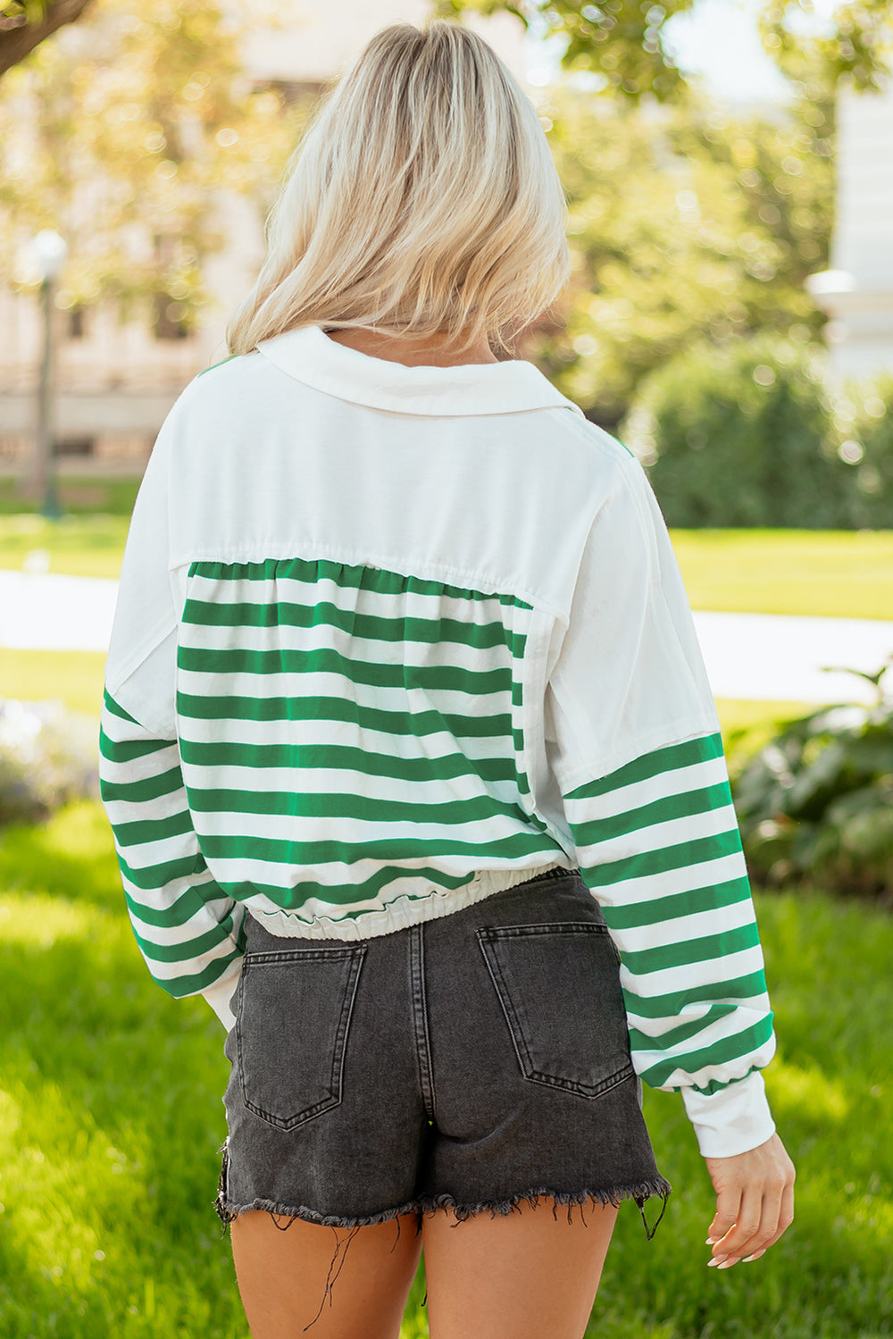 Colorblock Collared V Neck Cropped Knit Pullover