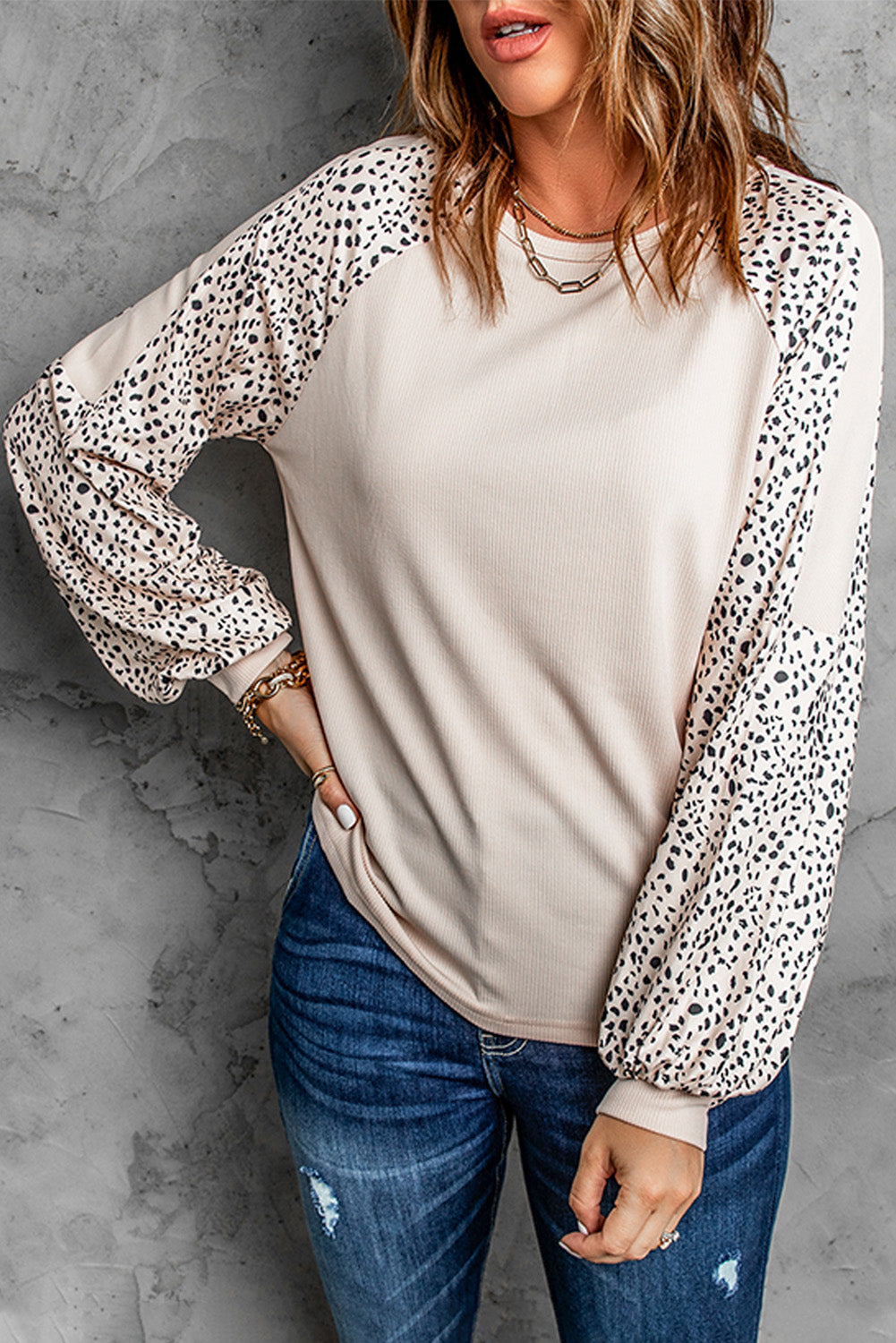 Leopard Print Long Sleeve Pullover Top