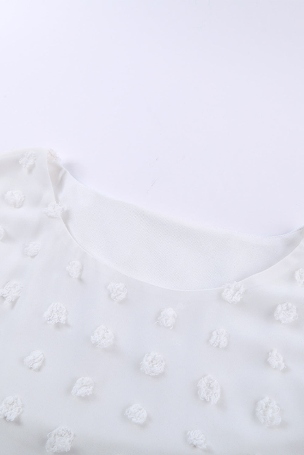 Chic White Swiss Dot Texture Round Neck Short Sleeve Top